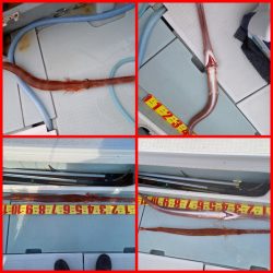 アマテラス 釣果