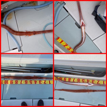 アマテラス 釣果