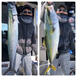 ビッグファイター 釣果