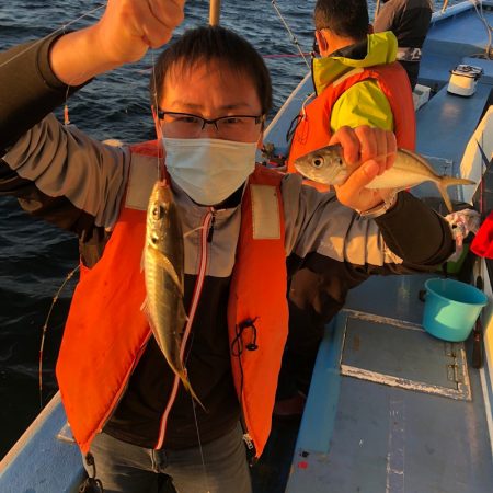 ヤザワ渡船 釣果