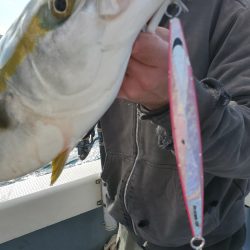 サンマリン 釣果