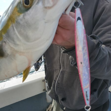 サンマリン 釣果