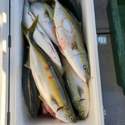 サンマリン 釣果