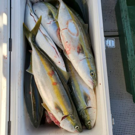 サンマリン 釣果