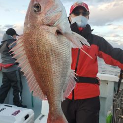 シーライオン 釣果