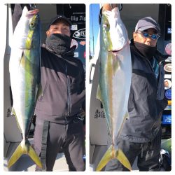 ビッグファイター 釣果