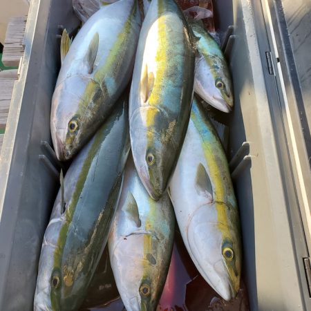 サンマリン 釣果