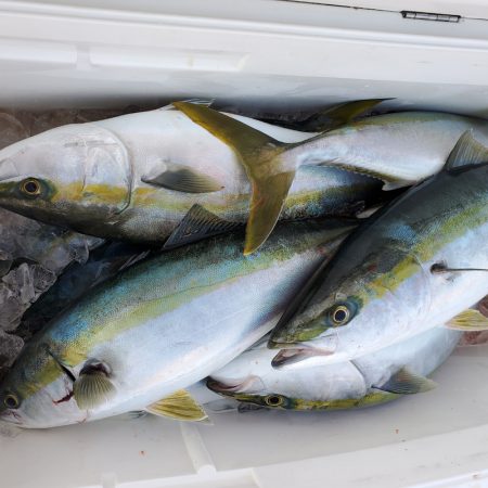 サンマリン 釣果