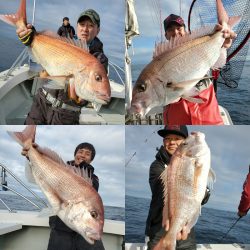 シーライオン 釣果