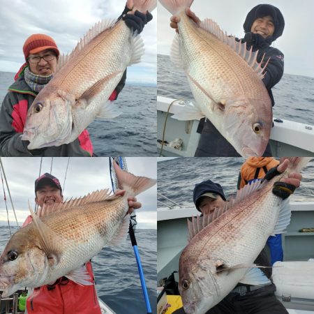 シーライオン 釣果