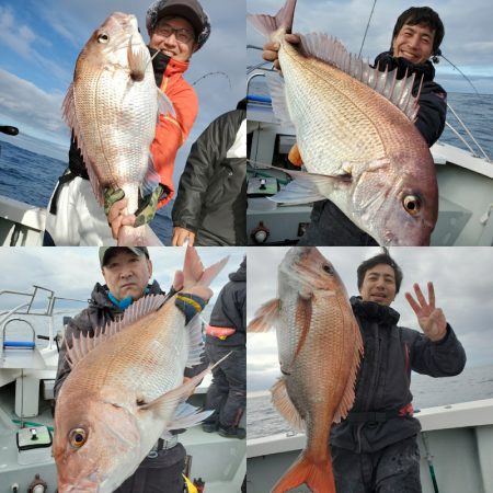 シーライオン 釣果