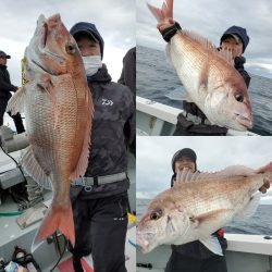 シーライオン 釣果