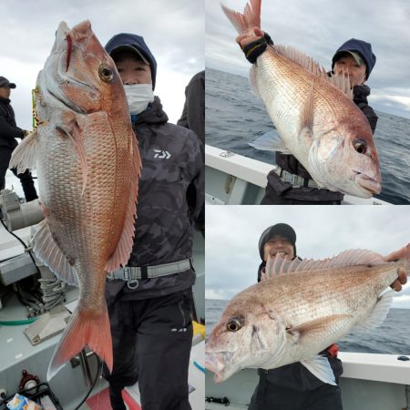 シーライオン 釣果