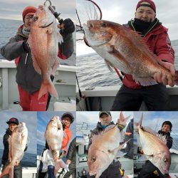 シーライオン 釣果