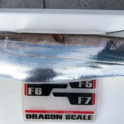 フィッシング　キッタカ 釣果