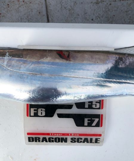 フィッシング　キッタカ 釣果