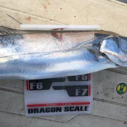 フィッシング　キッタカ 釣果