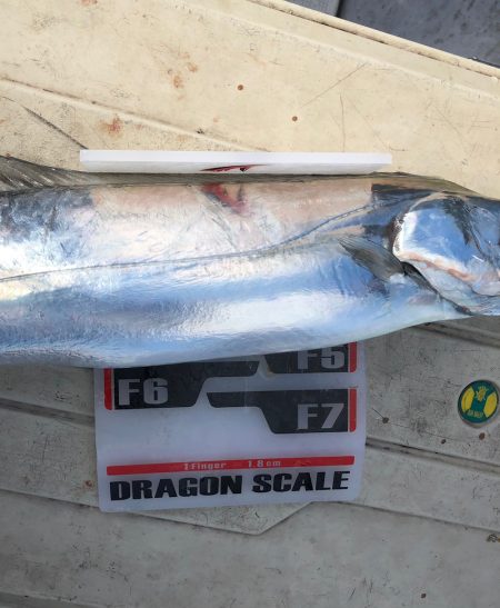 フィッシング　キッタカ 釣果