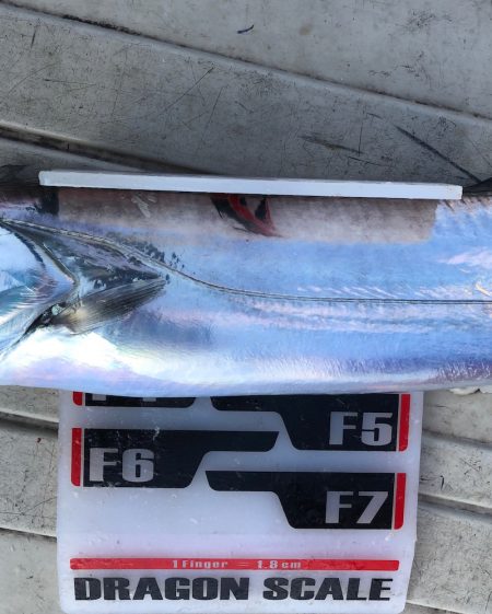 フィッシング　キッタカ 釣果