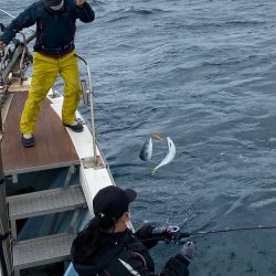 あみや渡船 JIGBOY 釣果