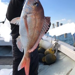 フィッシング キッタカ 釣果