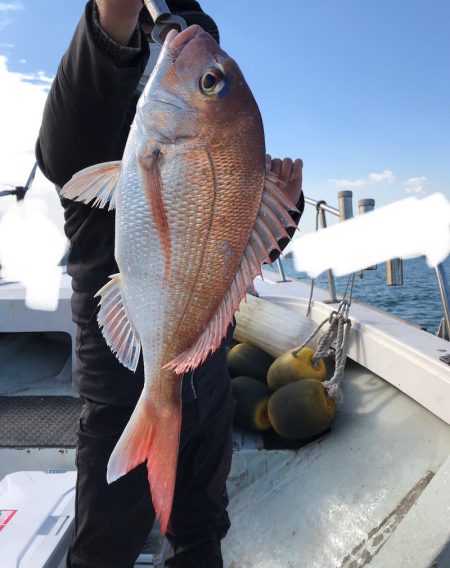 フィッシング キッタカ 釣果