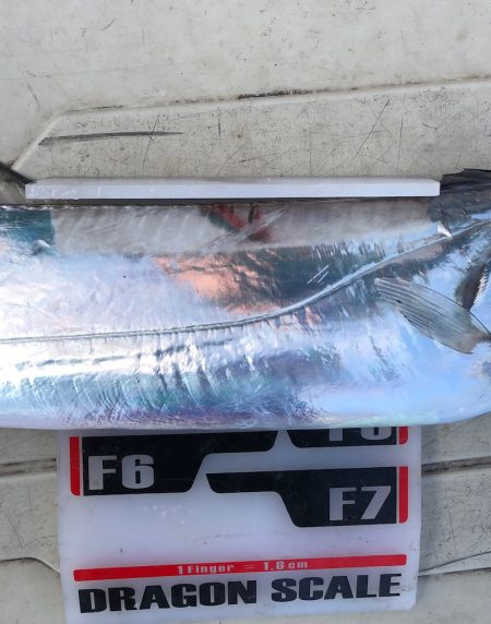 フィッシング　キッタカ 釣果