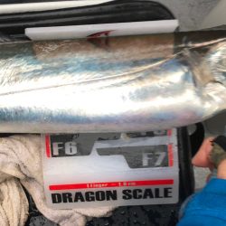 フィッシング キッタカ 釣果