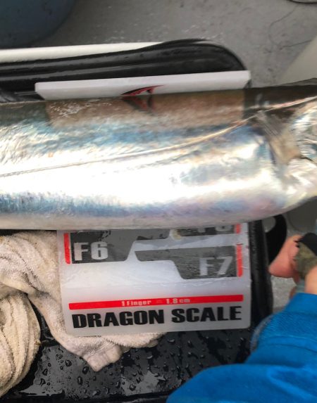 フィッシング キッタカ 釣果