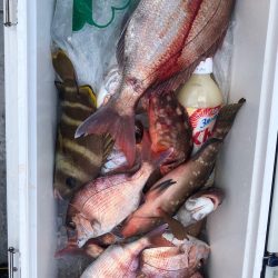 フィッシング キッタカ 釣果