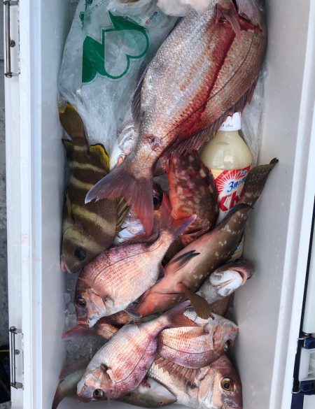 フィッシング キッタカ 釣果