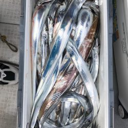 フィッシング　キッタカ 釣果