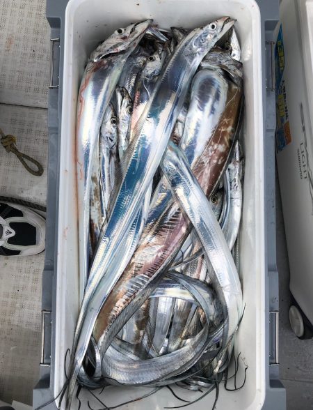 フィッシング　キッタカ 釣果