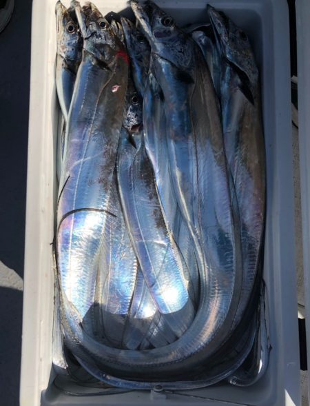 フィッシング　キッタカ 釣果