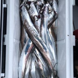 フィッシング キッタカ 釣果