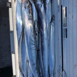 フィッシング　キッタカ 釣果