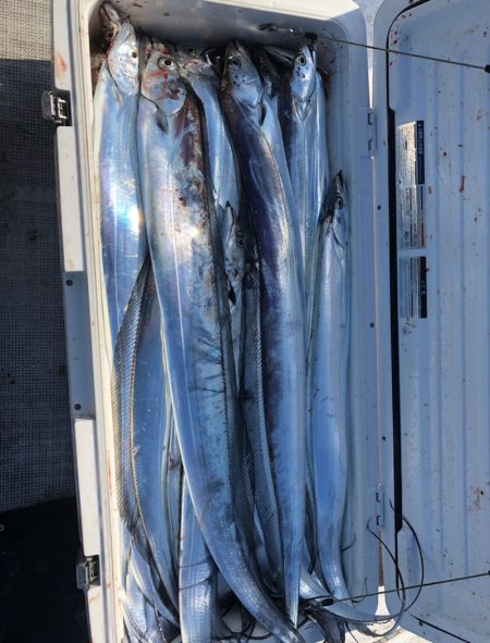 フィッシング　キッタカ 釣果