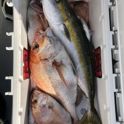 フィッシング　キッタカ 釣果