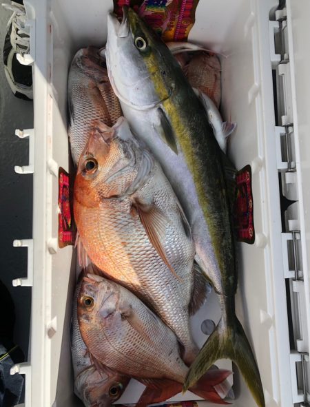 フィッシング　キッタカ 釣果