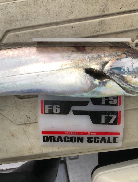 フィッシング　キッタカ 釣果