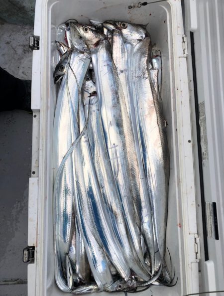 フィッシング　キッタカ 釣果