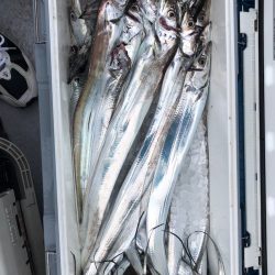 フィッシング キッタカ 釣果