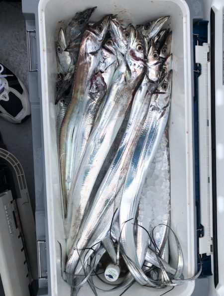 フィッシング キッタカ 釣果