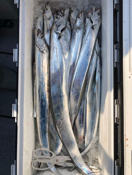 フィッシング　キッタカ 釣果