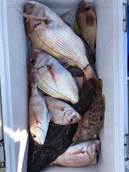 フィッシング　キッタカ 釣果