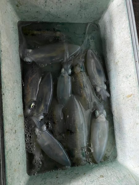 Monster Rush! 釣果