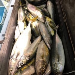 第二八坂丸 釣果