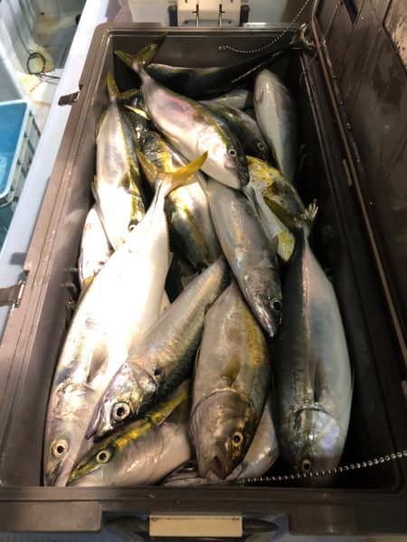 第二八坂丸 釣果