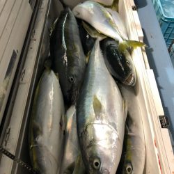 第二八坂丸 釣果