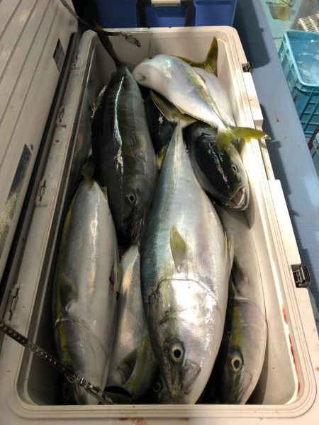 第二八坂丸 釣果